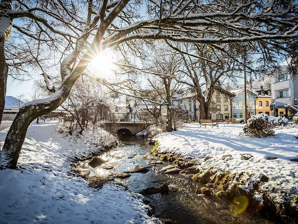 Japanischer Garten im Winter