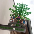 Lindenbaummuseum