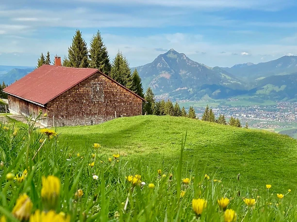 Horn Alpe am Ofterschwanger Horn mit Blick auf den Grünten