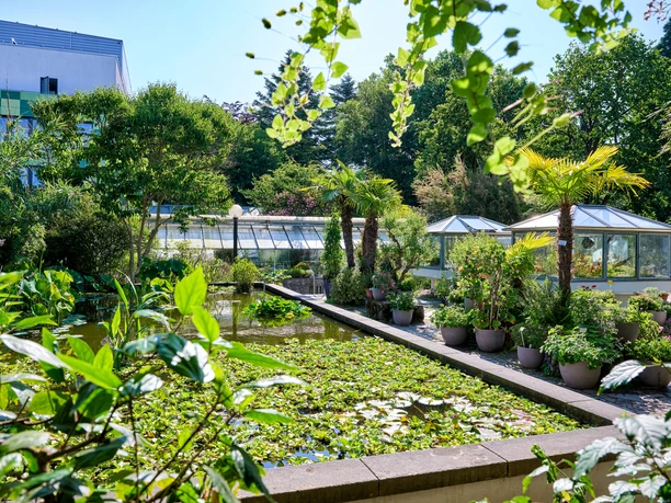 Botanischer Garten Erlangen