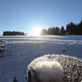 Winterwandern auf dem Milchweg