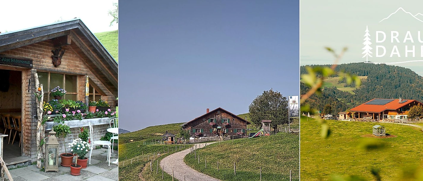 Kulinarikwanderung Immenstadt