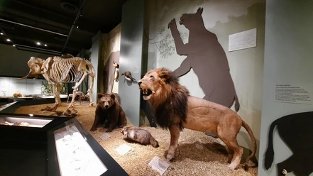 Naturmuseum Augsburg