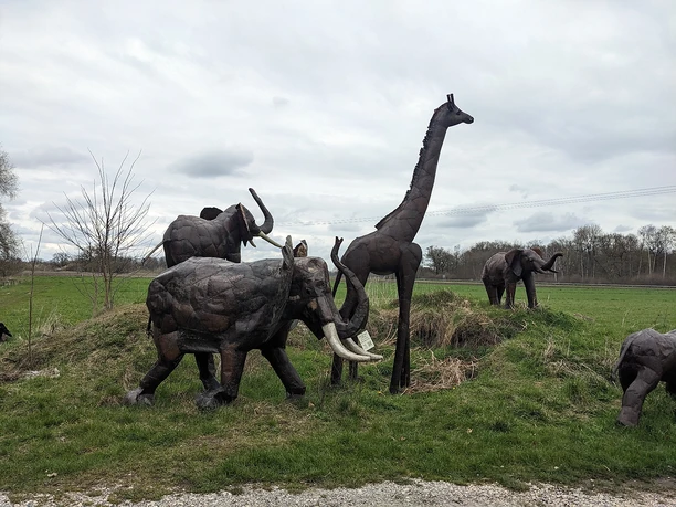 Kulturgewächshaus Birkenried - Faszination Afrika