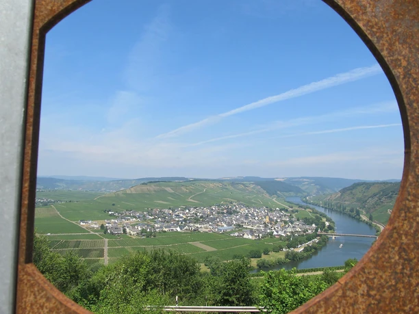 2_Schönste_Weinsicht:Mosel_2016