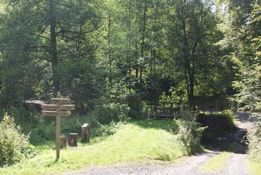 Botanischer Weg bei Mühlenthal