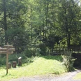 Botanischer Weg bei Mühlenthal