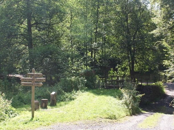 Botanischer Weg bei Mühlenthal