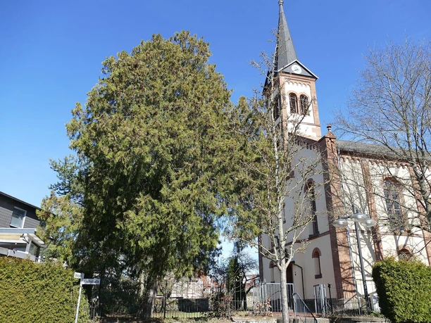 Im Ortskern von Garbenheim