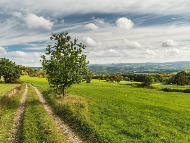 Aussicht von Aremberg