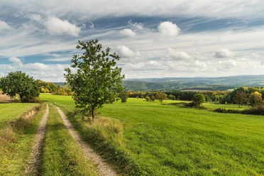 Aussicht von Aremberg