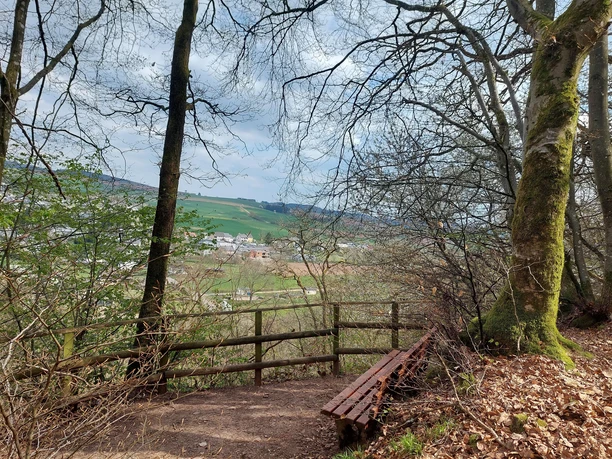 Ausblick
