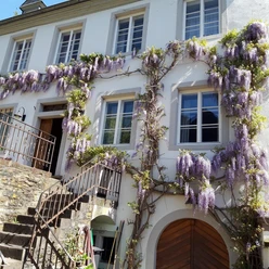 Pfarrhaus