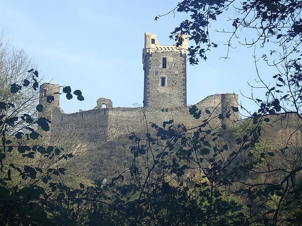 Gesamtansicht der Burgruine Wernerseck