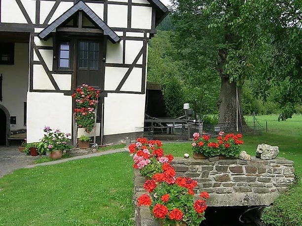 Hahnensteiner Mühle