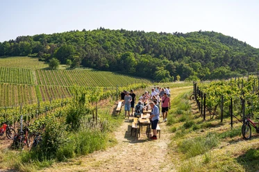 Weinfest mitten im Weinberg