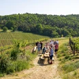 Weinfest mitten im Weinberg