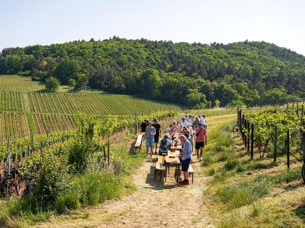 Weinfest mitten im Weinberg