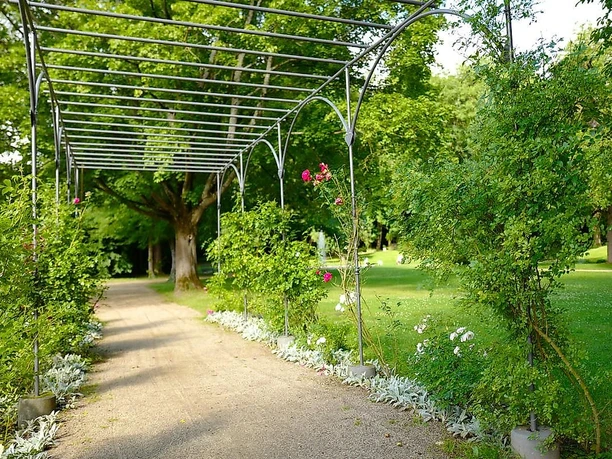 Rosenbogen im Schlosspark Buseck