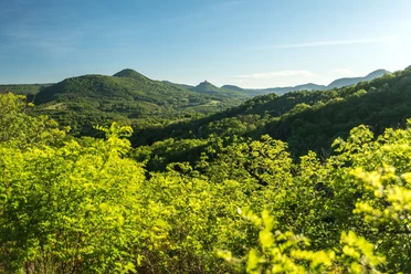 Blick zum Trifels