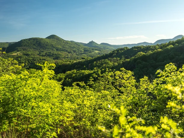 Blick zum Trifels