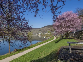 Nordic Walking in Zell