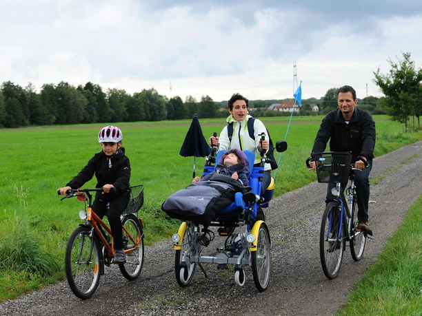 Rollstuhlfahrrad (2)