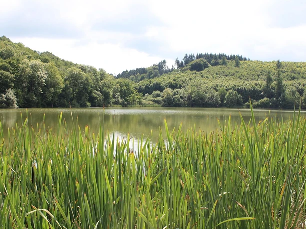 Ein Maar.... oder doch Kratersee?