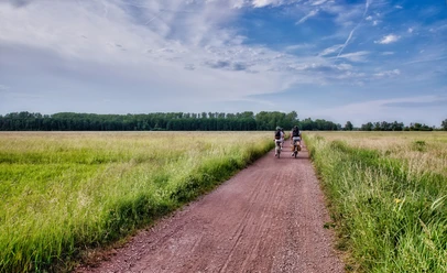 Radfahren durch die Queichwiesen bei Bellheim