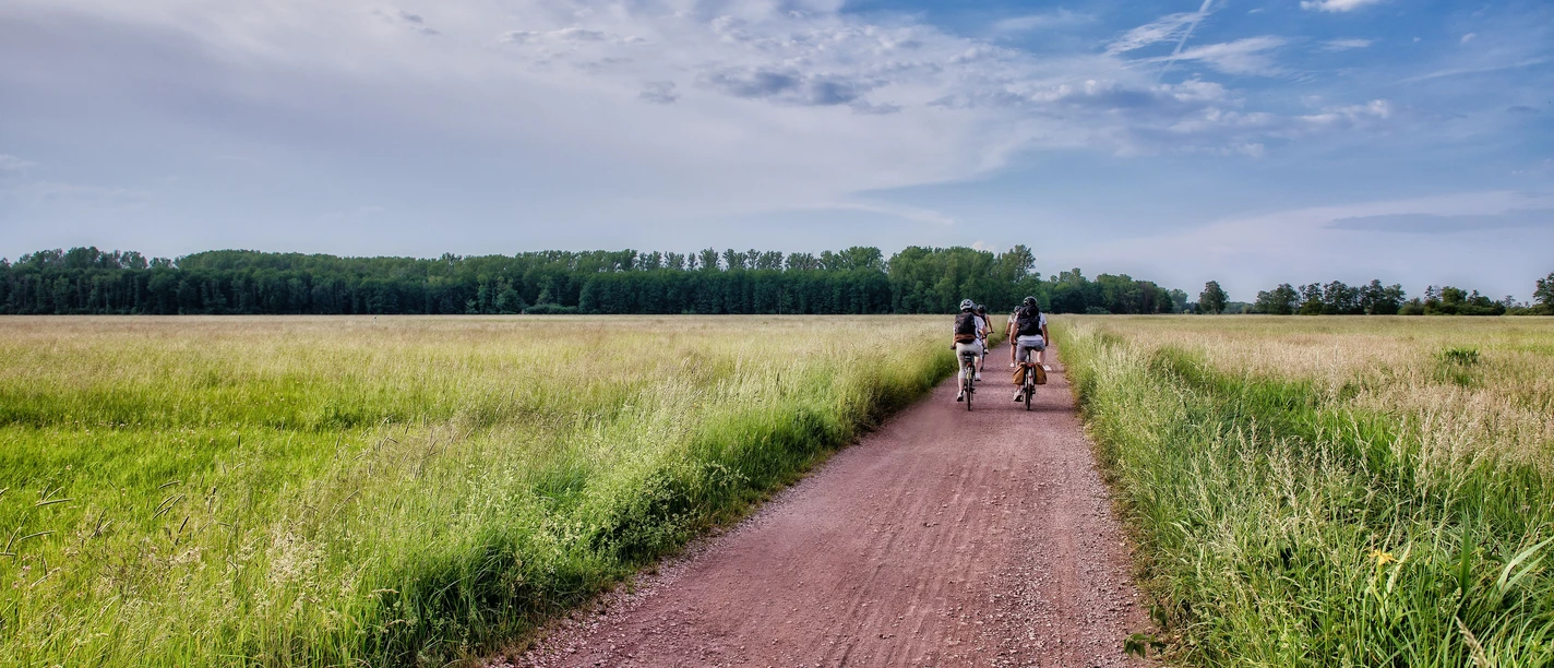 Radfahren durch die Queichwiesen bei Bellheim