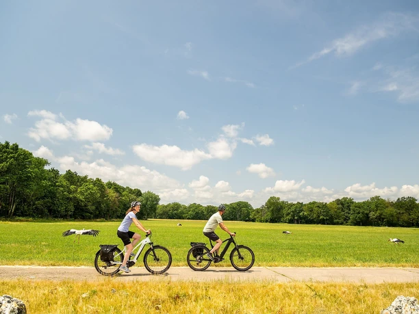 Radfahrende in den Queichwiesen