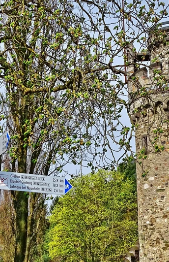 Wetzlar, Garbenheimer Warte / Bismarckturm