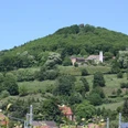 Slevogthof