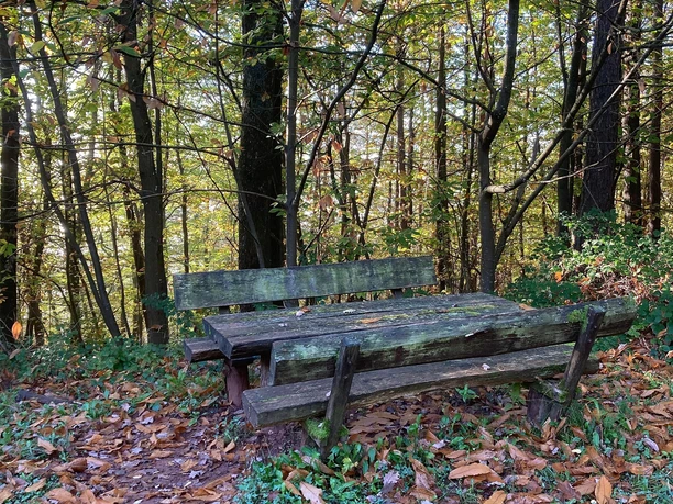 Picknickplatz_2