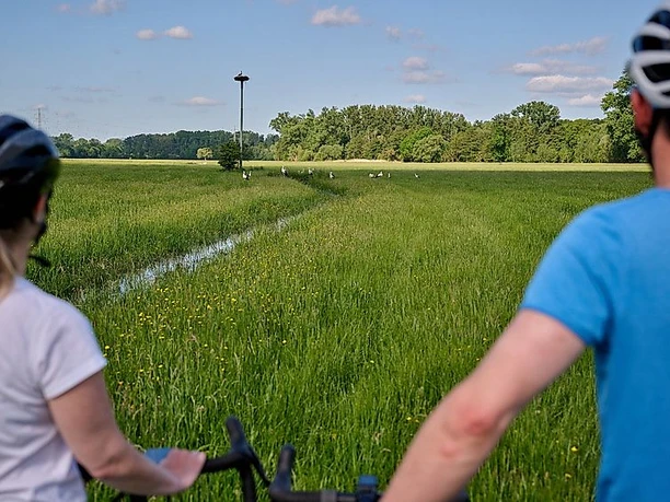 Radfahrende an den Queichwiesen