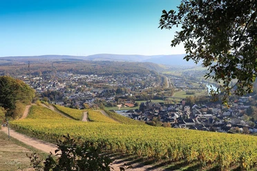 Panoramaweg