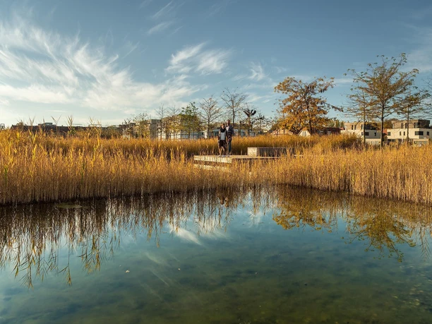 Ehemaliges Geländer der LG 2015