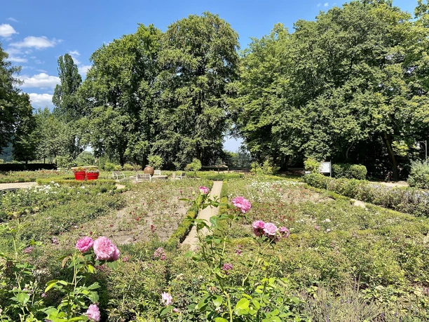 Rosengarten-Schlosspark Marburg
