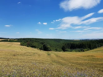 Wiesen und Felder rund um Reudelsterz