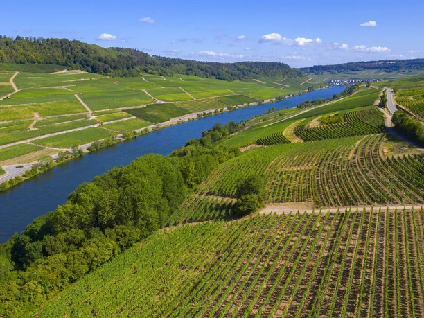 Südliche Weinmosel (1)
