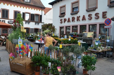 Am Marktplatz