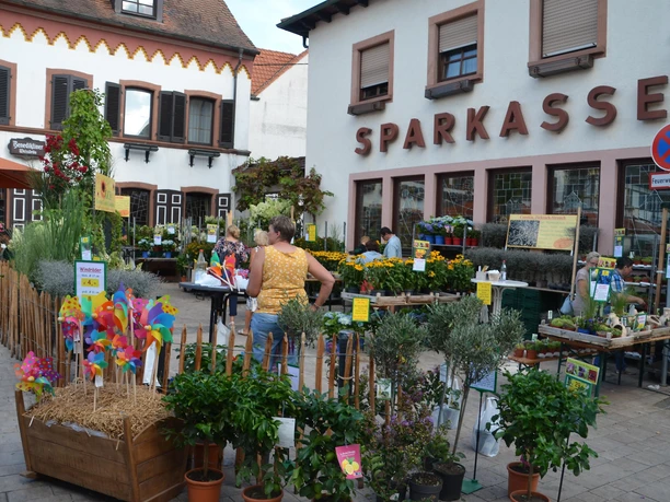 Am Marktplatz
