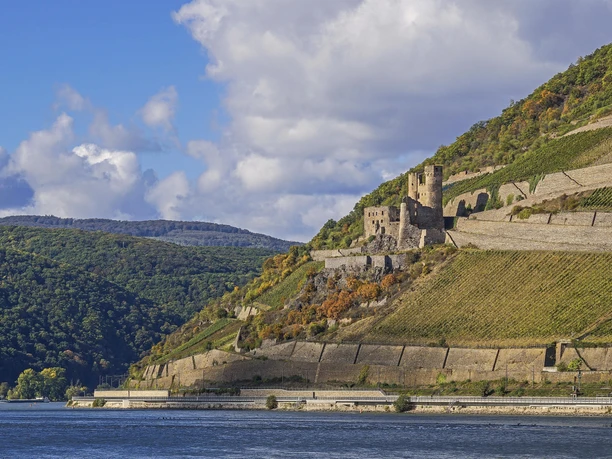 Ehrenfels bei Rüdesheim