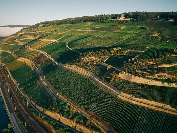 BERG ROTTLAND Rüdesheim