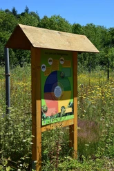 Bienen-Infotafel, Bienenpfad, Hermeskeil, Husnrück
