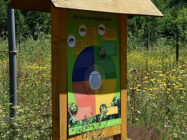 Bienen-Infotafel, Bienenpfad, Hermeskeil, Husnrück