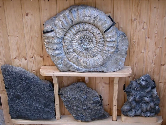 Privatmuseum Taben-Rodt (2)