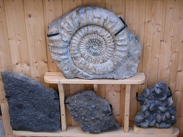 Privatmuseum Taben-Rodt (2)