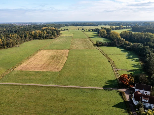 Ausblick auf die Queichwiesen
