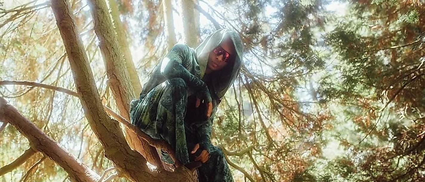 TEAM ROBIN HOOD